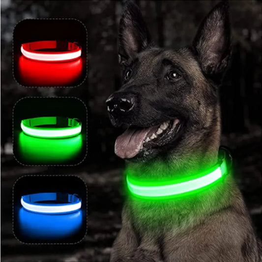 LED Glowing Collar